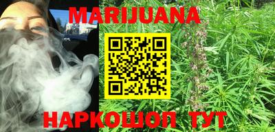 индика Новозыбков