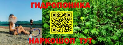 шишки Новокубанск
