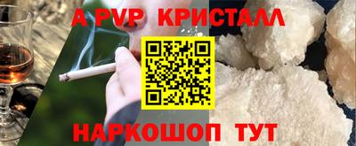индика Новозыбков