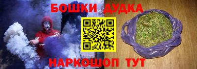индика Новозыбков