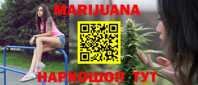 индика Новозыбков