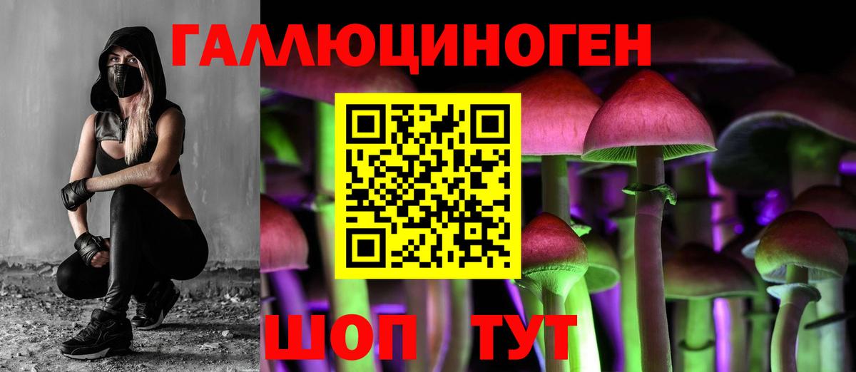 Псилоцибиновые грибы Psilocybine cubensis  Вход с VPN  Галлюциногенные грибы ЛСД  Сланцы 