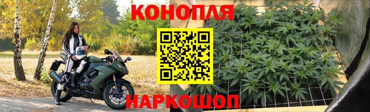 Бошки Шишки OG Kush  Канабис Bruce Banner  Вход с VPN  Бошки Шишки SATIVA & INDICA  Сланцы 